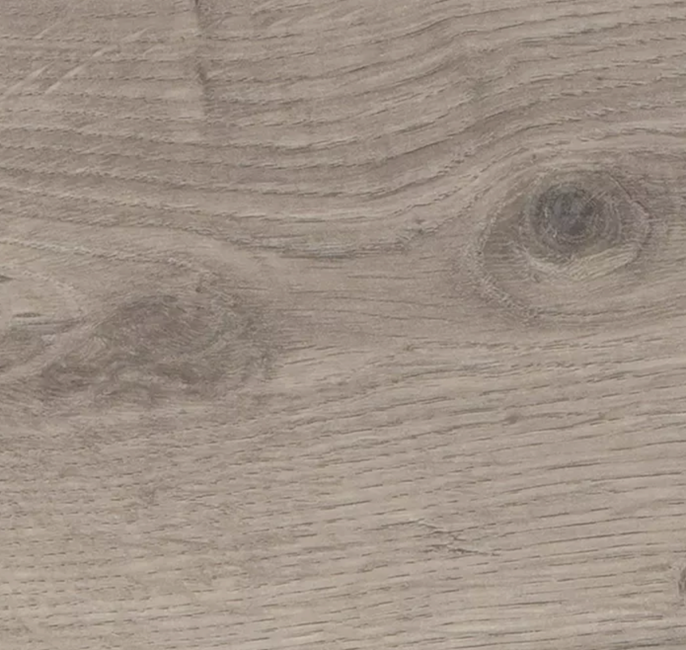 ROVERE GIAPPONESE