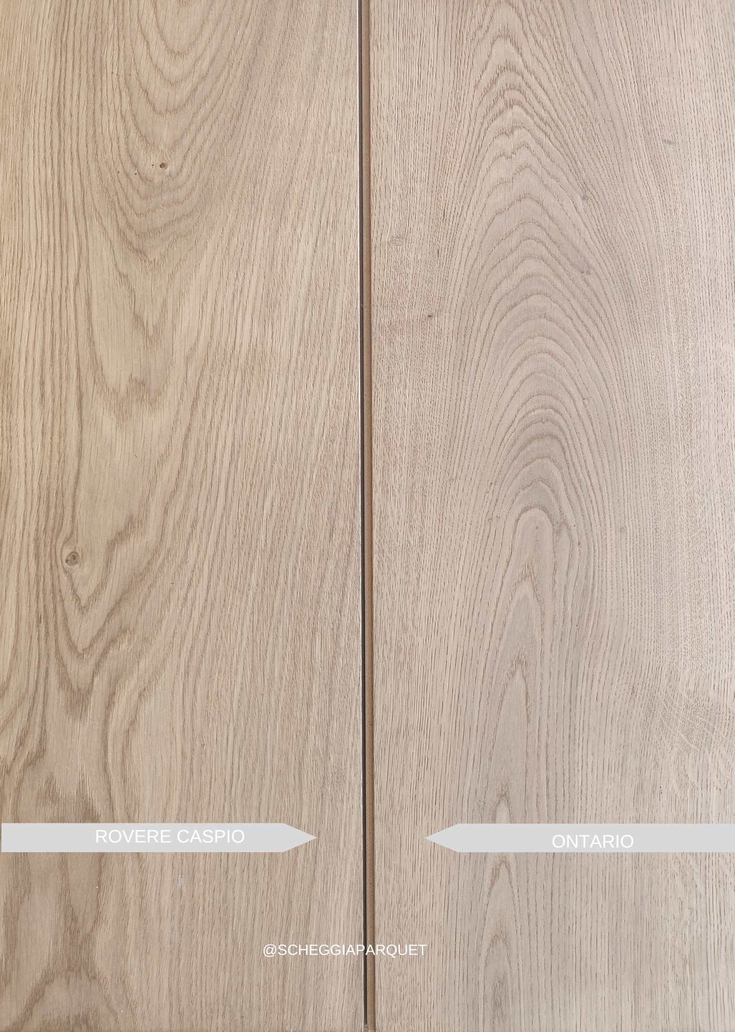 ROVERE ONTARIO SPINA ITALIANA - SCHEGGIA SHOP SKEMA LUMBERTECH