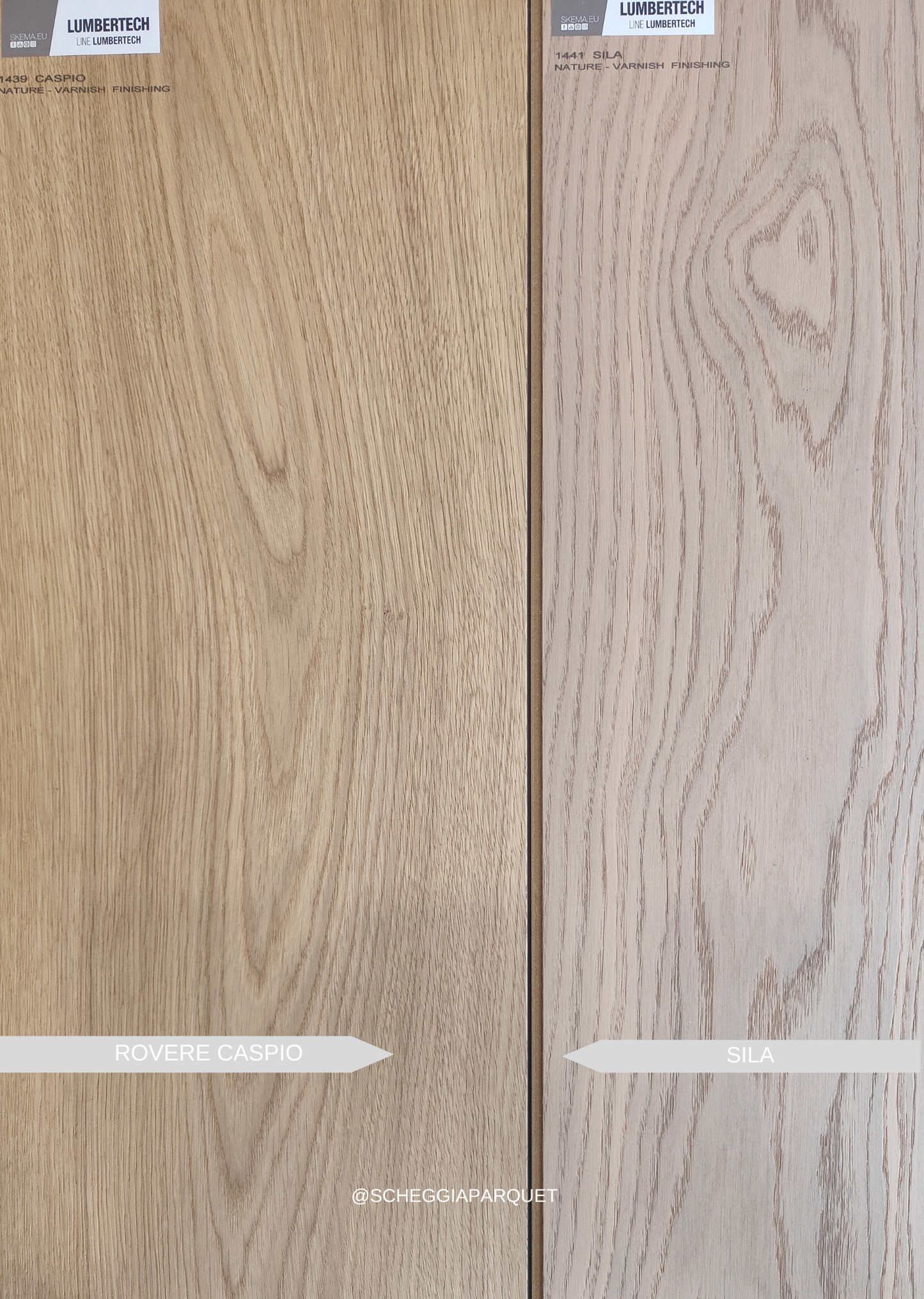 ROVERE SILA - SCHEGGIA SHOP SKEMA LUMBERTECH