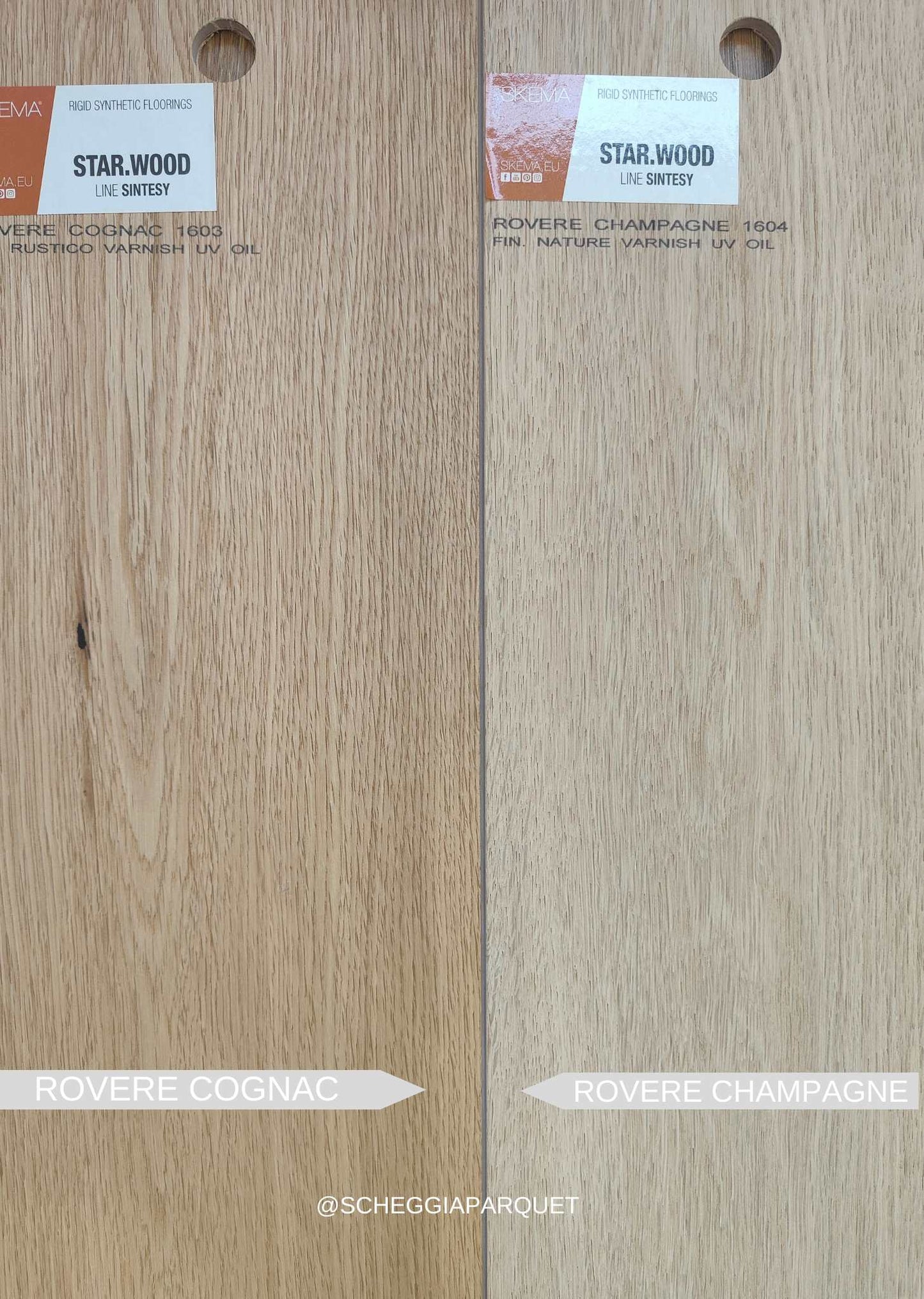 ROVERE CHAMPAGNE - SCHEGGIA SHOP SKEMA PVC