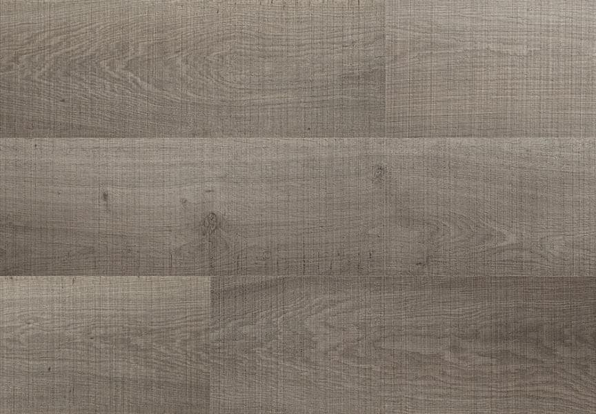 GREY OAK - SCHEGGIA SHOP