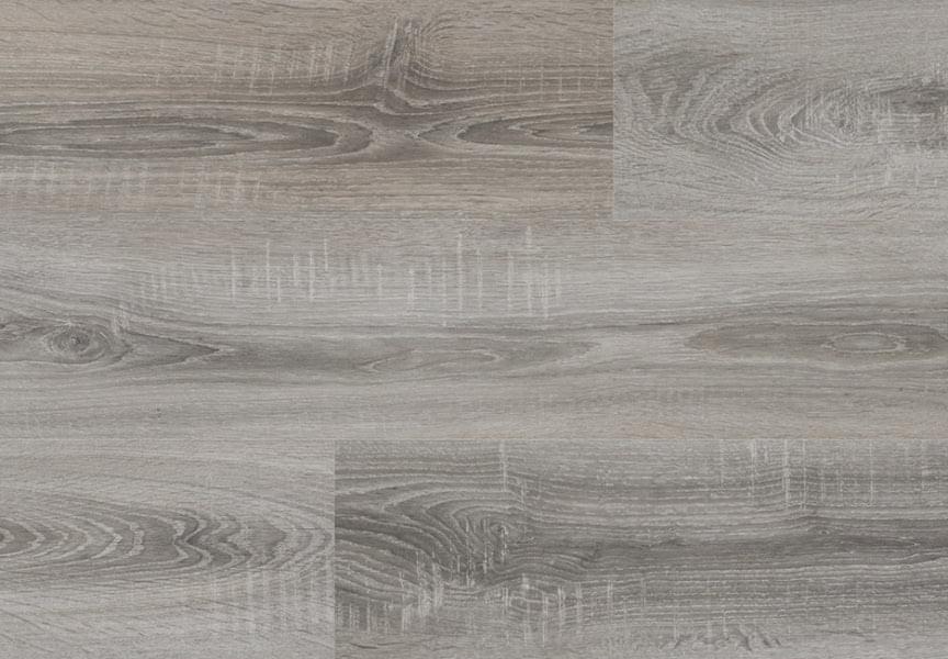 GREY CANYON - SCHEGGIA SHOP