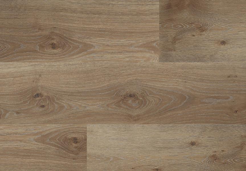 ROVERE LATINO - SCHEGGIA SHOP SKEMA LAMINATO