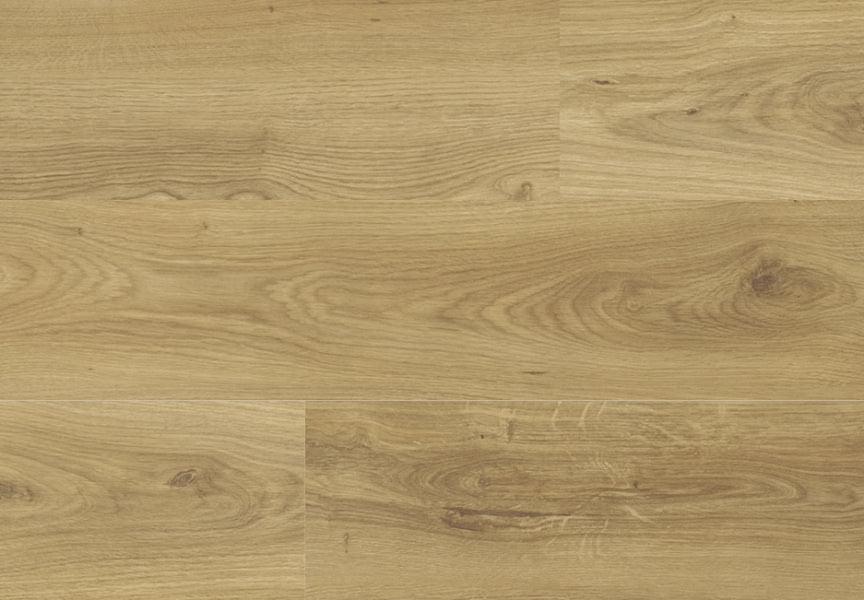 CURRY OAK - SCHEGGIA SHOP