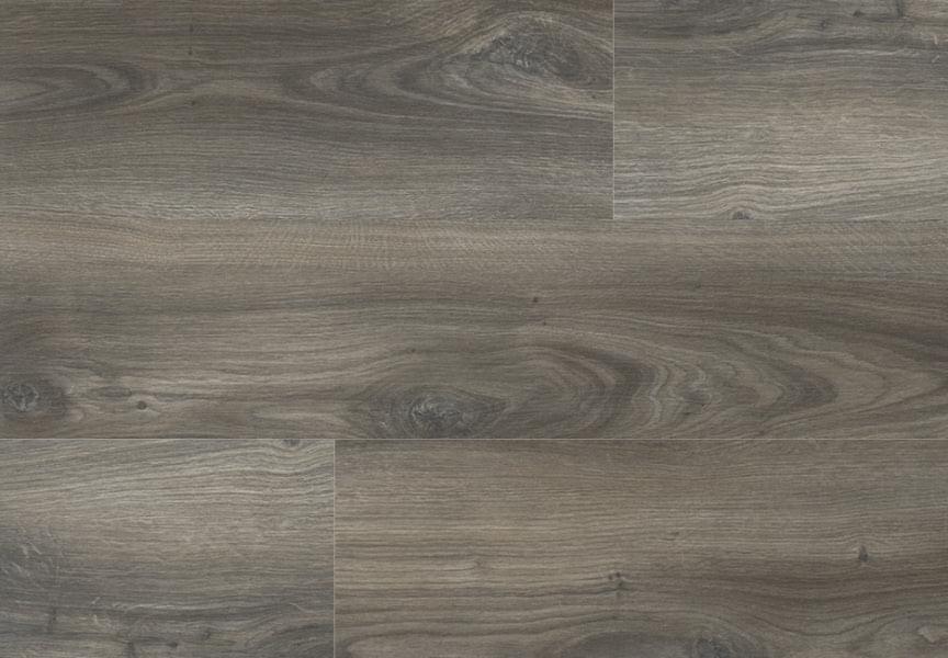 COSMO OAK - SCHEGGIA SHOP