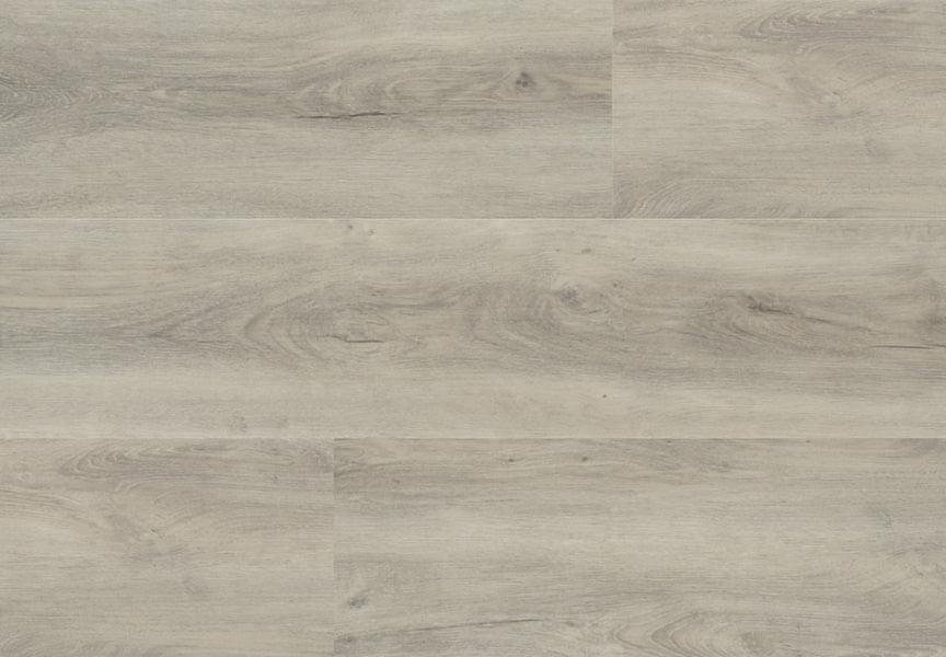 BALTIC OAK - SCHEGGIA SHOP