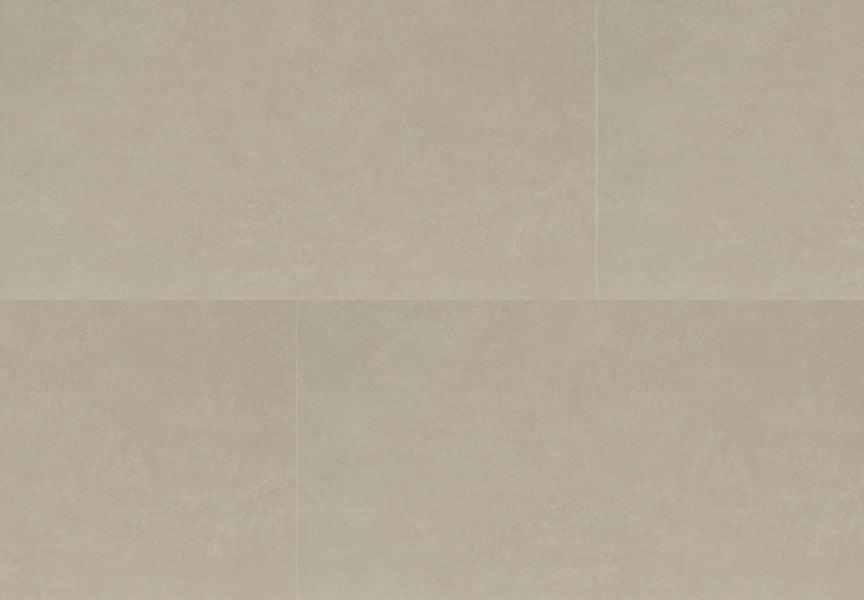 CARDIFF - SCHEGGIA SHOP