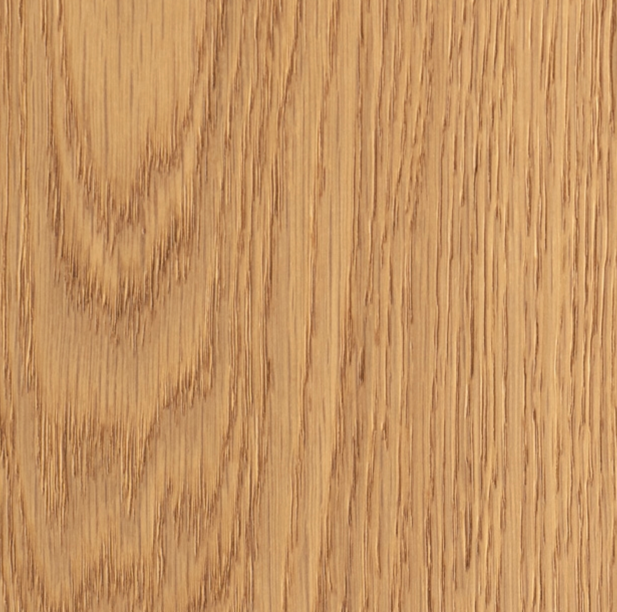 ROVERE ONTARIO SCHEGGIA SHOP