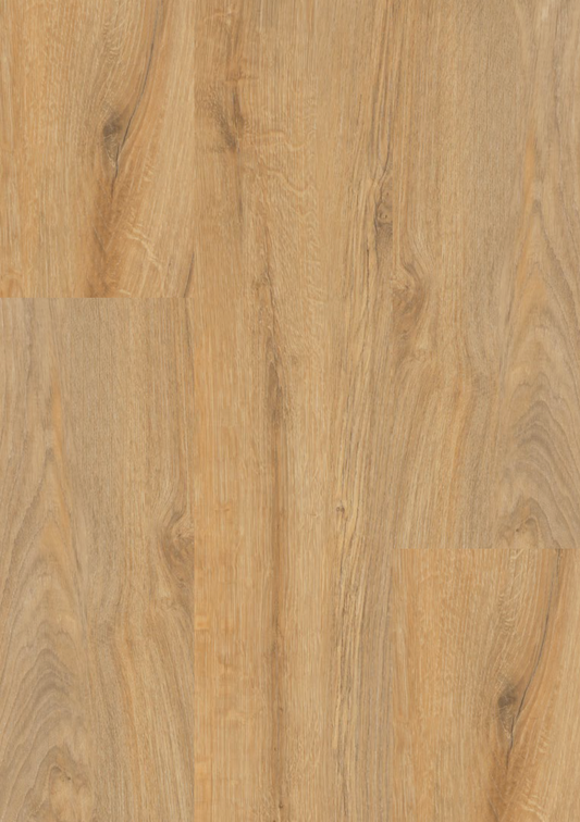 QUERCIA FRANCESE