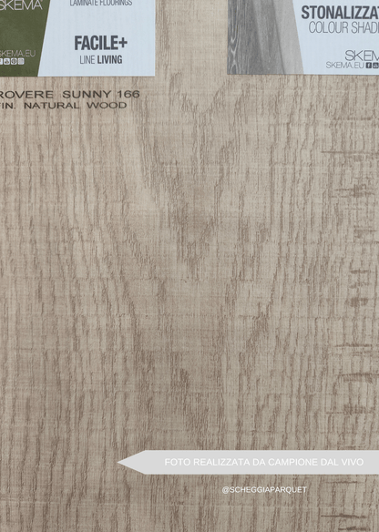 ROVERE SUNY - SCHEGGIA SHOP SKEMA LAMINATO