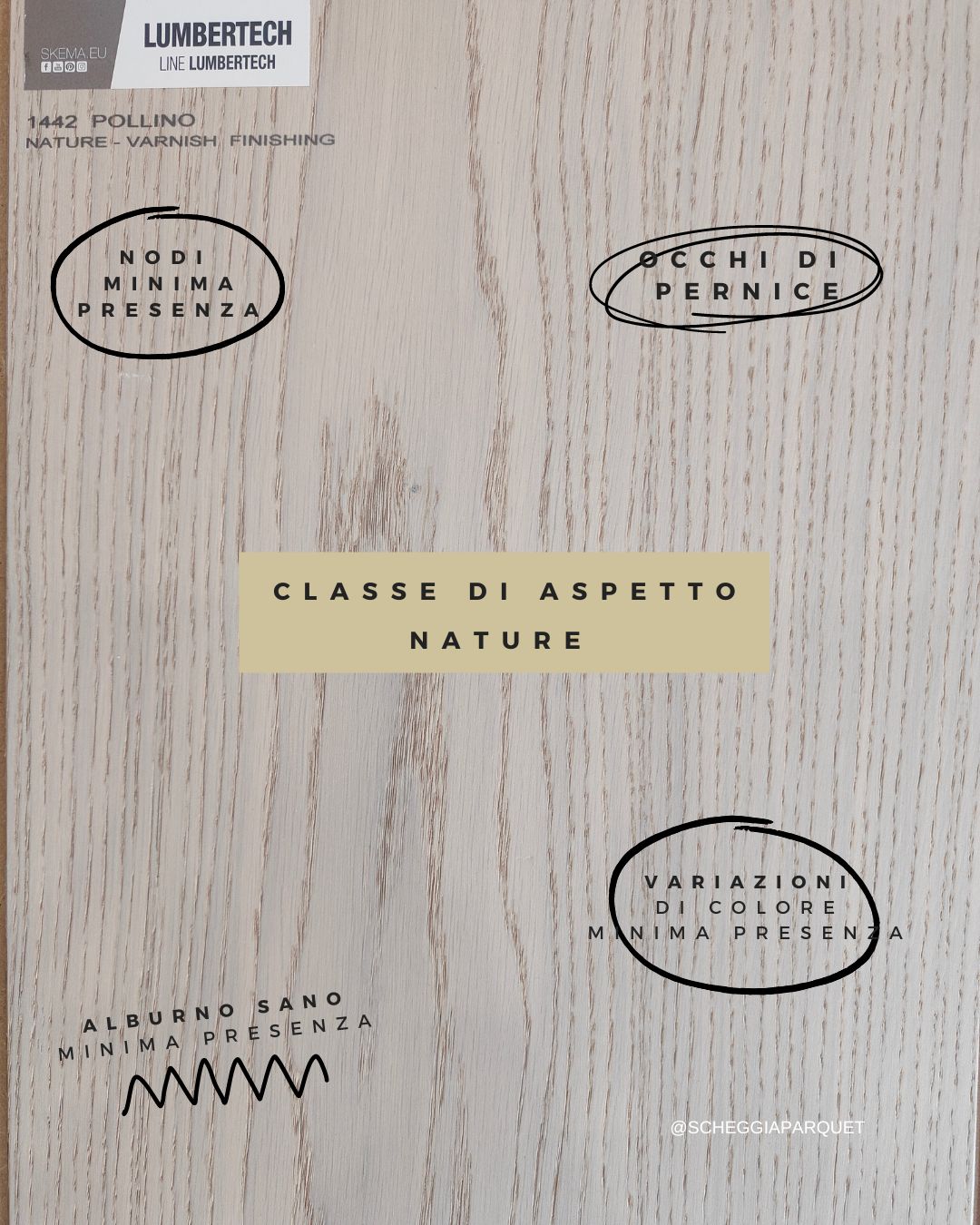 ROVERE POLLINO - SCHEGGIA SHOP